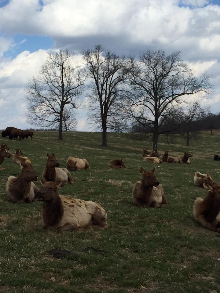 29340246_2054509177899199_5558052405351809024_n